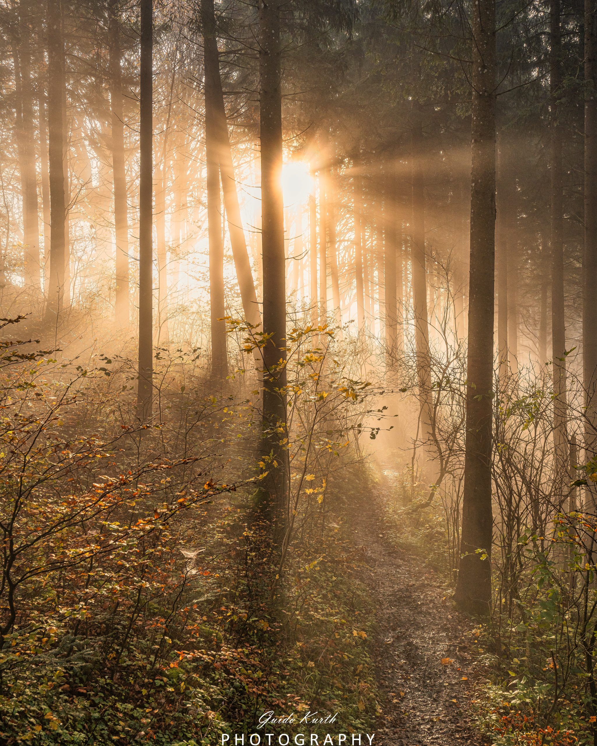 Mehr über den Artikel erfahren Es werde Licht….