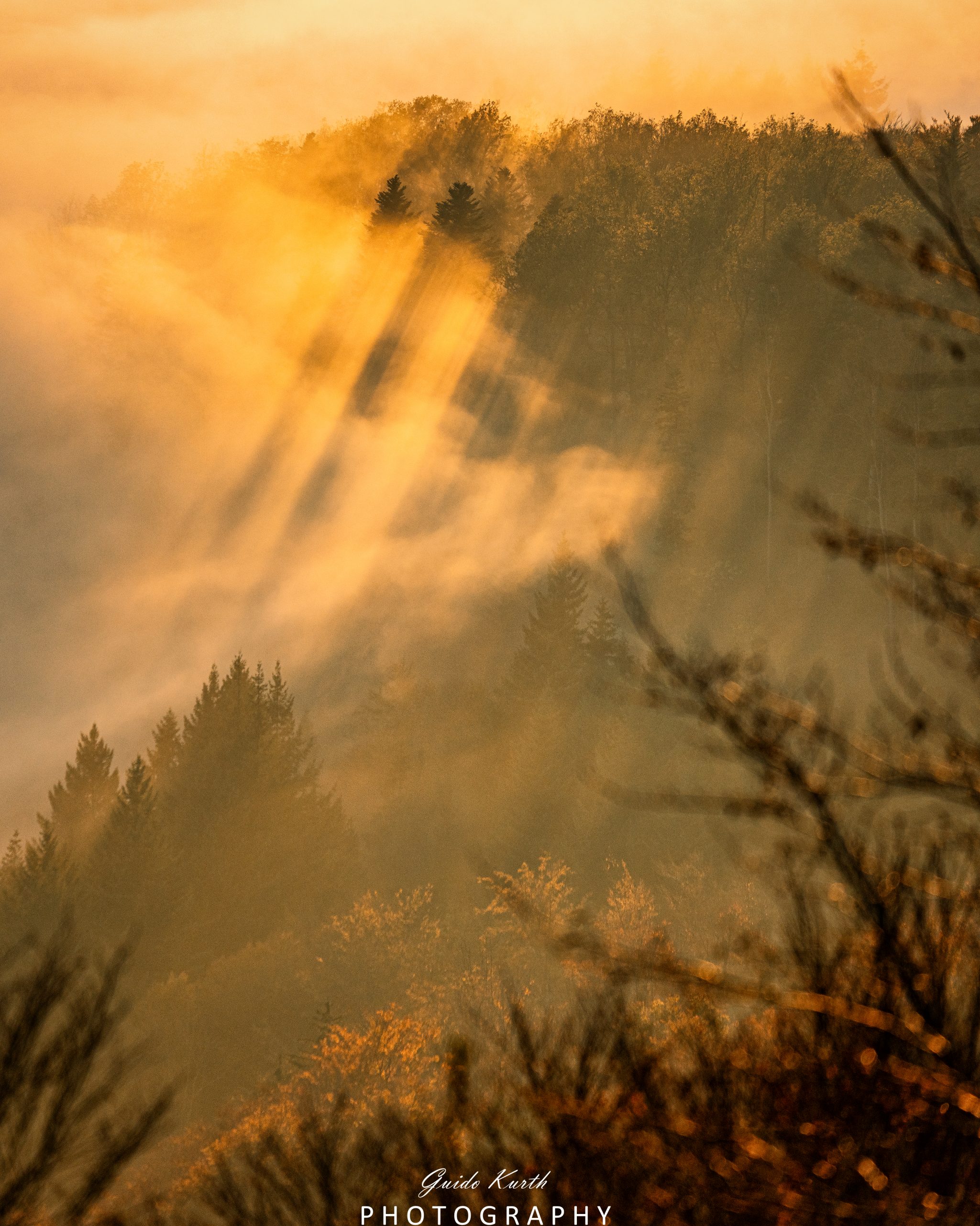 Mehr über den Artikel erfahren Nebel bei Sonnenuntergang….