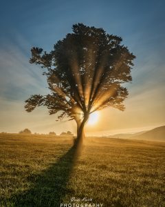 Mehr über den Artikel erfahren Feuer frei….