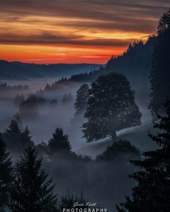 Mehr über den Artikel erfahren Himmelsröte und Nebel…