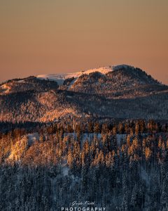 Mehr über den Artikel erfahren Wintermorgen im Schwarzwald…