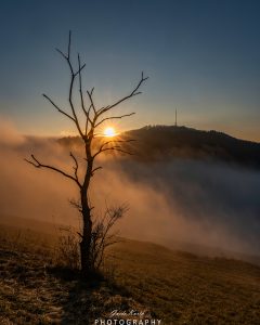 Mehr über den Artikel erfahren Natur Schauspiel….
