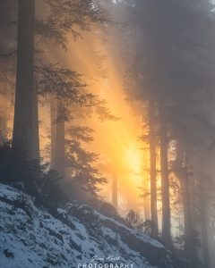 Mehr über den Artikel erfahren Flashlight….