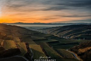 Mehr über den Artikel erfahren Kaiserstuhl im Abendlicht…