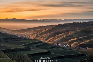 Mehr über den Artikel erfahren Je später der Abend…