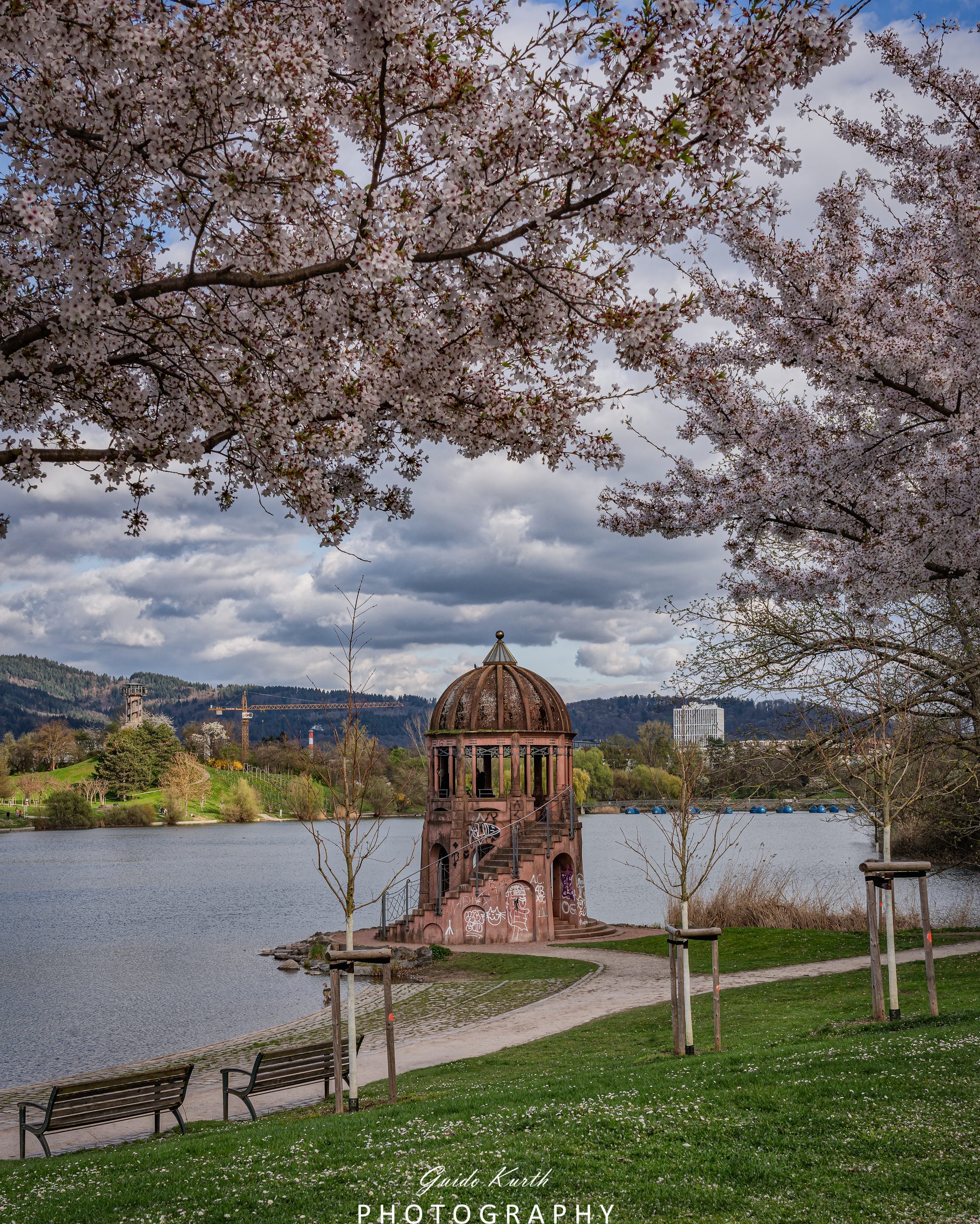 Du betrachtest gerade Blütenzauber….