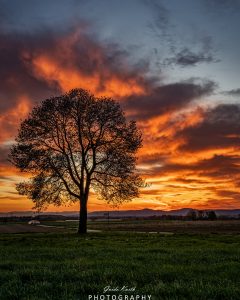 Mehr über den Artikel erfahren Sky Fire….